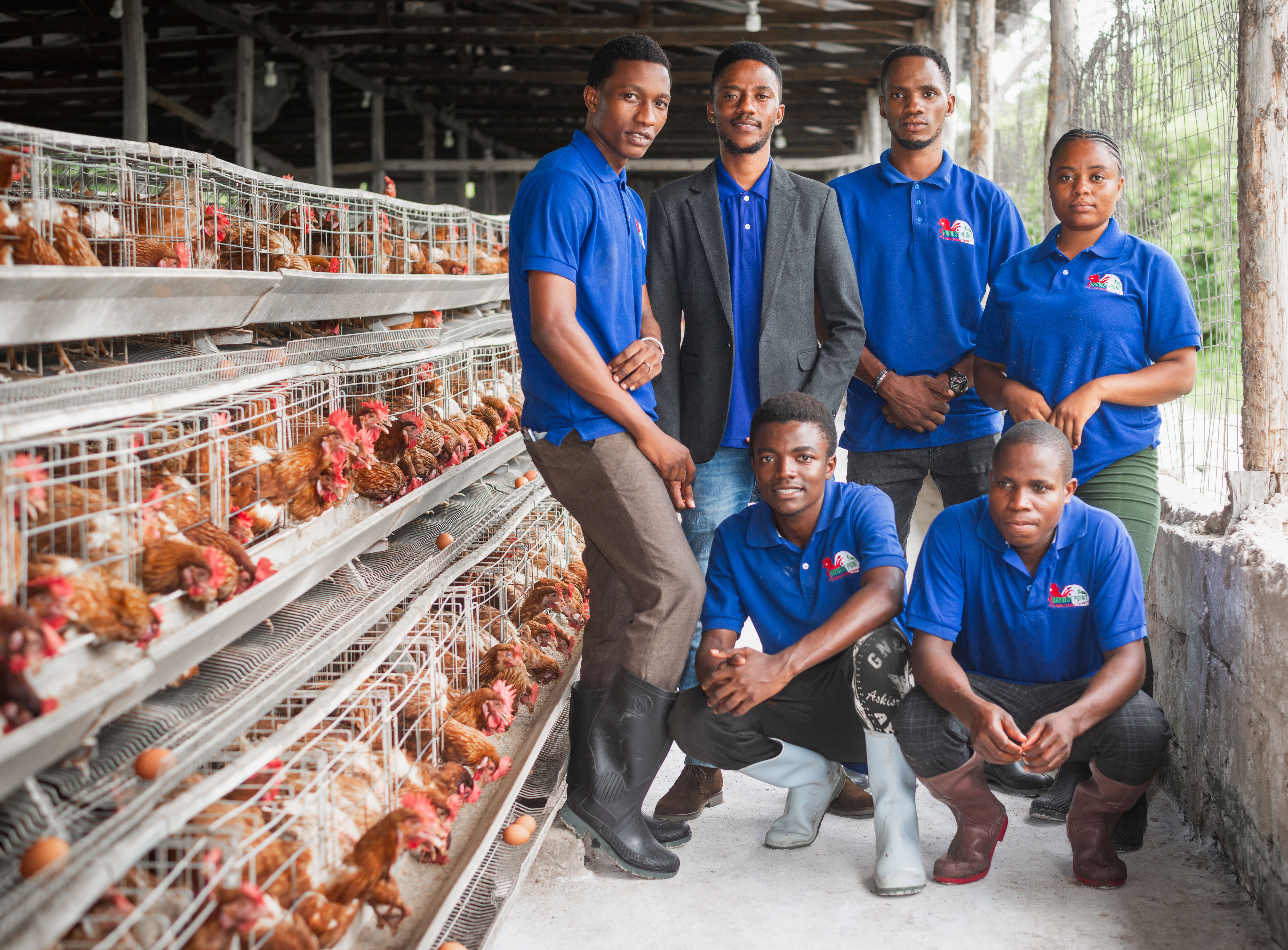 Free Training Workshop for Youth in Agribusiness Image Not Found